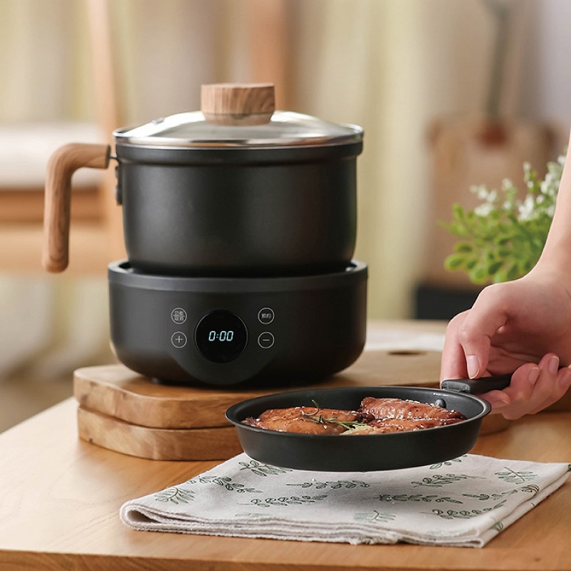 Camping Cooking Rice - 110V/220V Multifunctionele Elektrische Kookpot Anti-aanbak Koekenpan