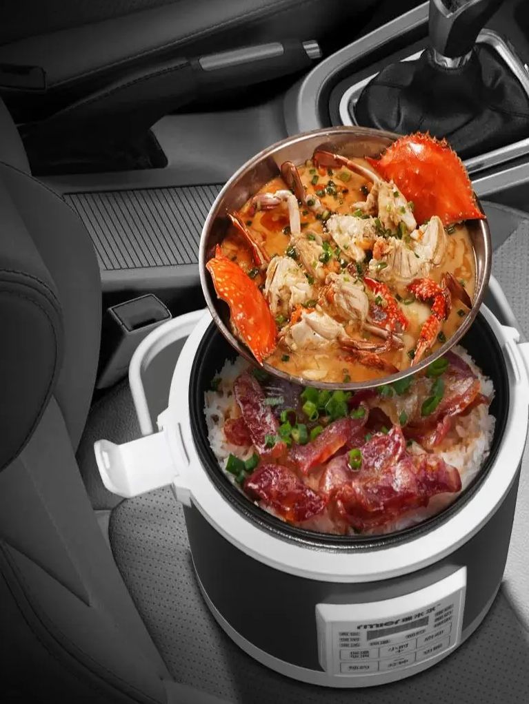 ARIER 12-24V 220V Rijstkoker M - Camping Cooking Rice recensie en prijs