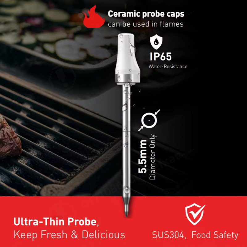 Draadloze Bluetooth Smart Meat - Meat Thermometer Camp recensie en prijs